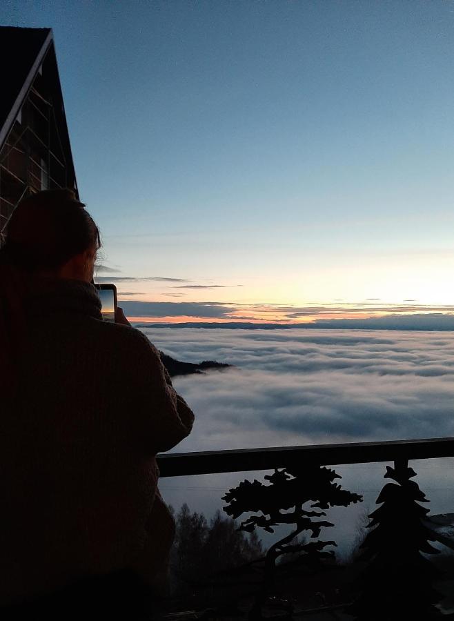 Ferienwohnung Vihor A21 Kopaonik Exterior foto